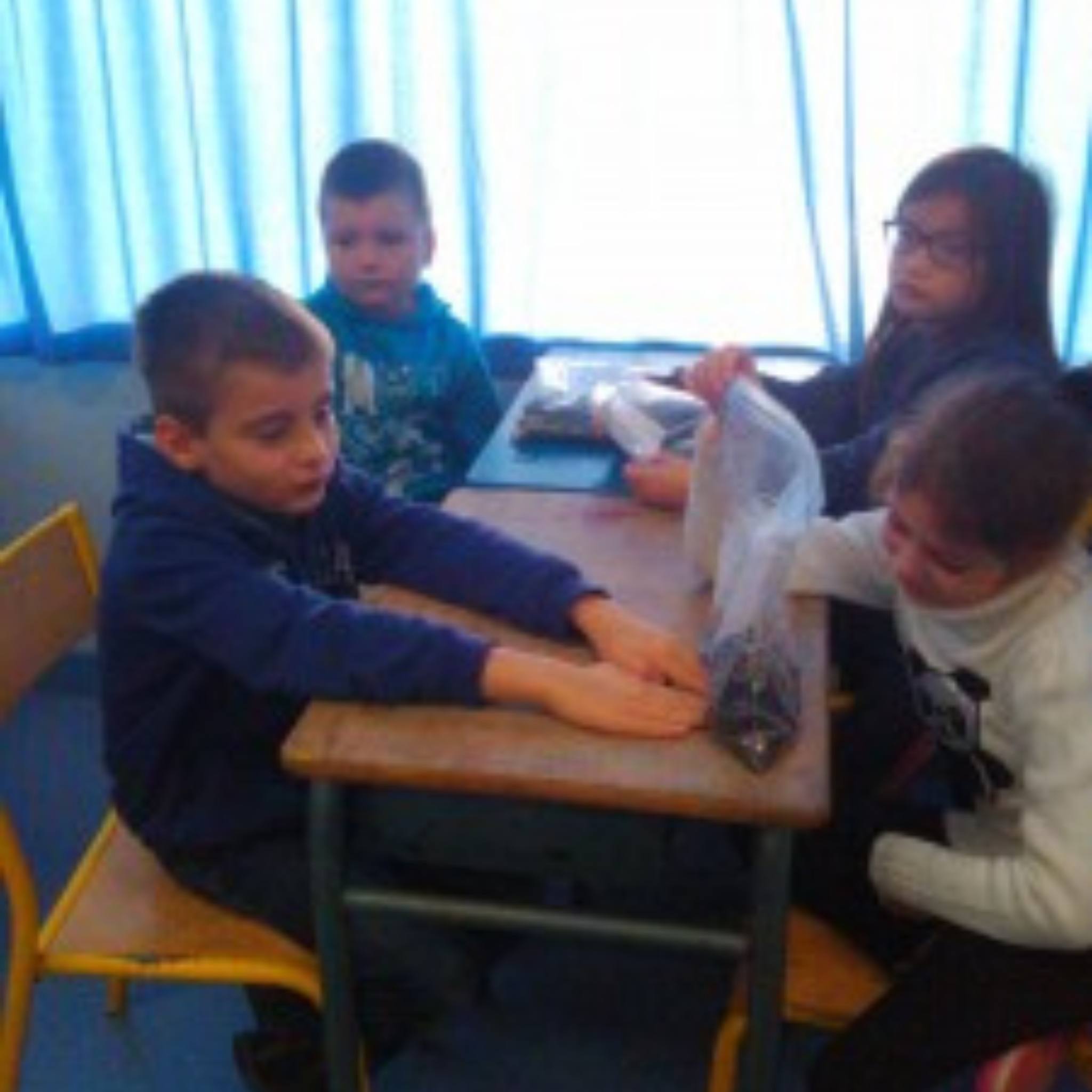 Enfants autour d'une table pendant une classe nature