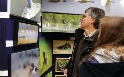 Une belle édition ! Festival Photo Animalière #2019