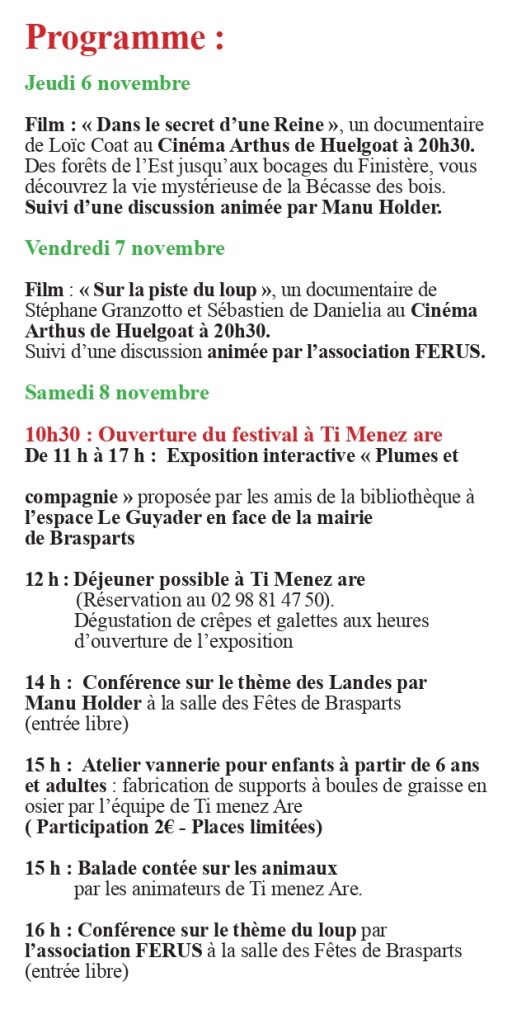 programme festival photo 2025