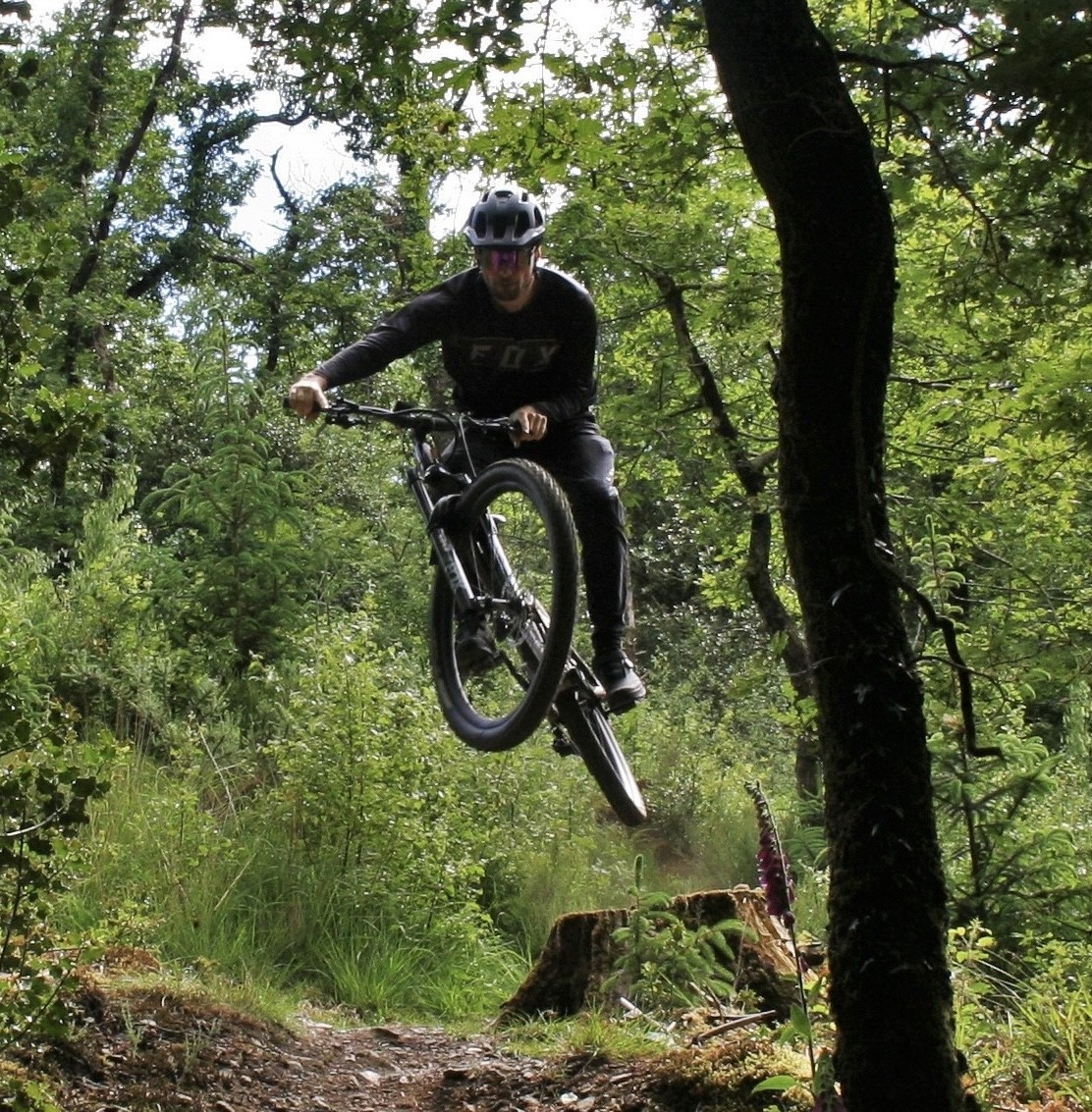 Vélo VTT dans la forêt